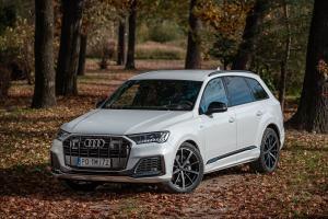Audi Q7 50 TDI Quattro S-Line 2019 года  (WW)